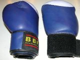 Boxing Gloves - COOL PURPLE - 10oz