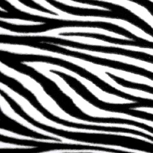 Zebra Slankets - Fleece Blanket With Sleeves
