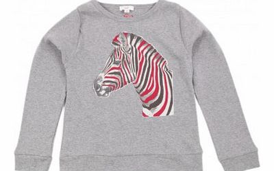 Zef Miss Zebra T-shirt Light grey `2 years,4 years,6