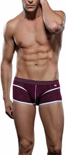 Zehui Mens Underwear Boxers Nylon Mesh Hole Trunks Low rise Briefs Purple Tag M