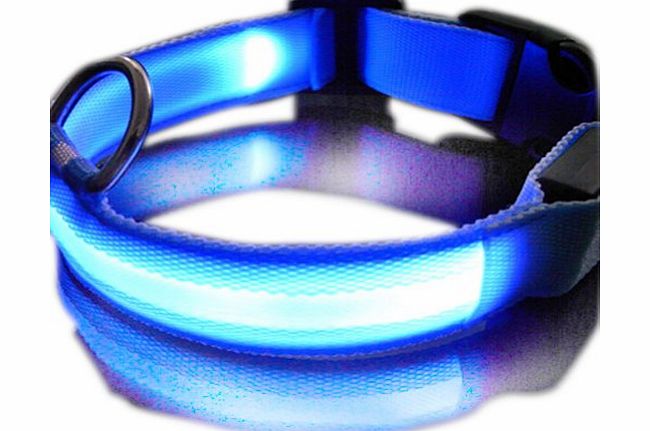 Zehui New Blue Nylon LED Dog Night Safety Collar Flashing Light up W/circular Pendant Collar