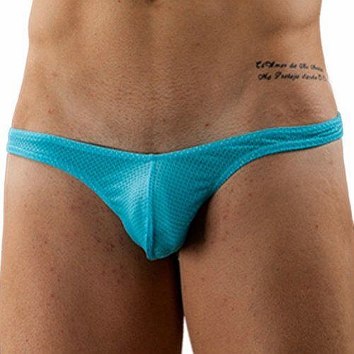 Zehui Sexy Mens Mesh Hole Thongs G-string Briefs Comfy Underwear Blue Tag L