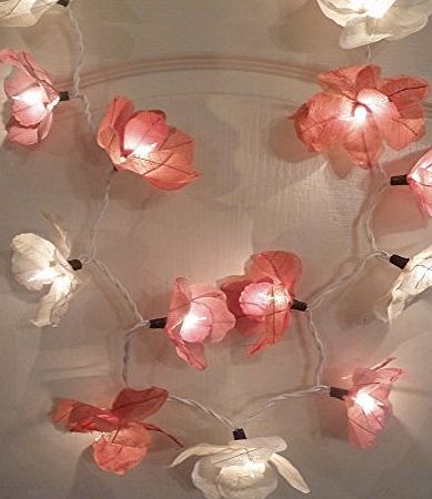 Zhambala Poppy Mixed Pink String Lights
