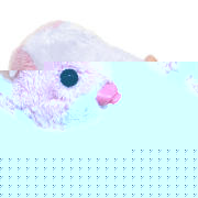 zhu zhu Pets Hamster Jilly
