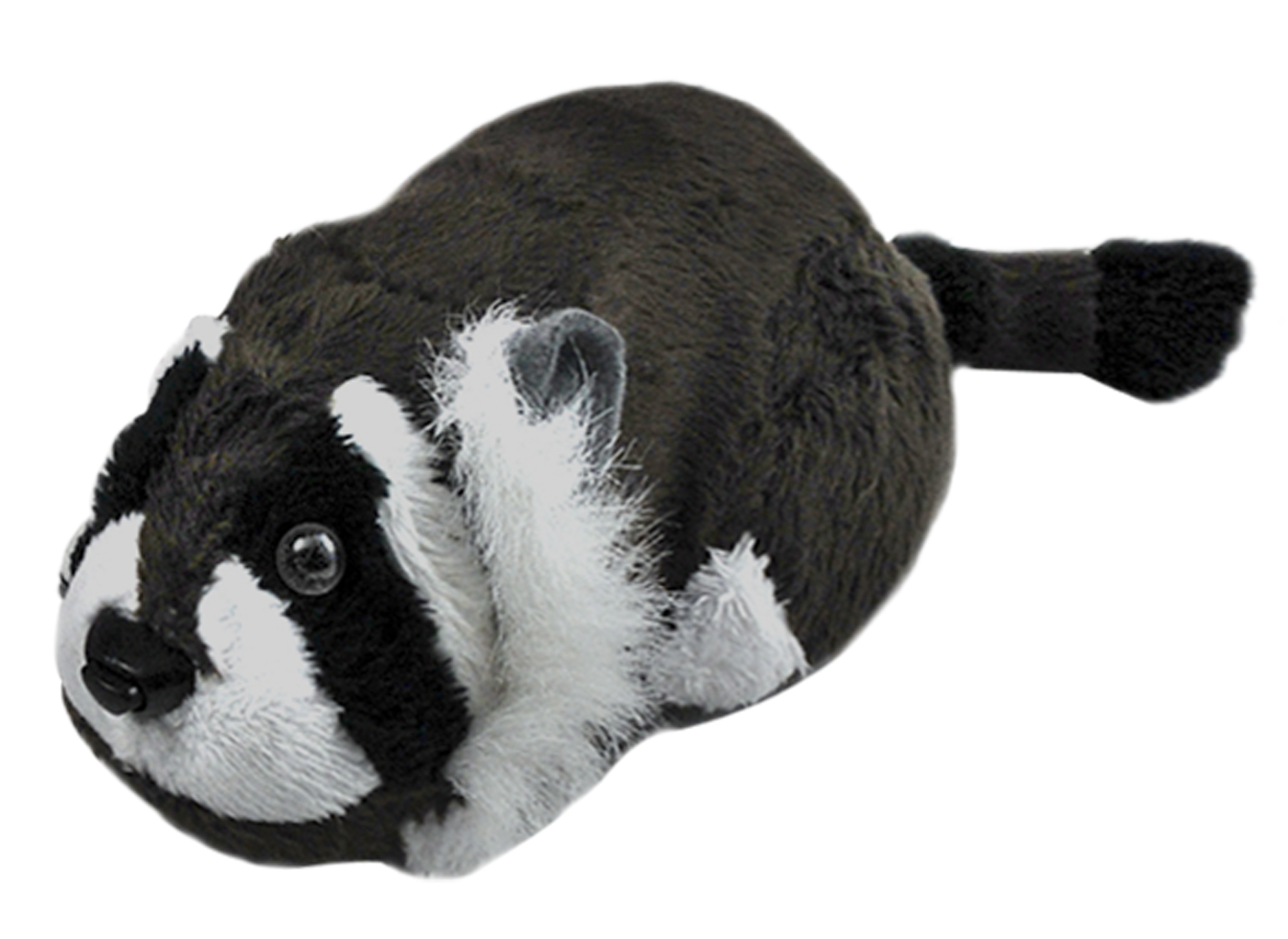 Pets Wild Bunch - Rocco