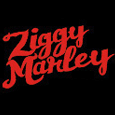 Ziggy Marley Cap (Black) Baseball Cap