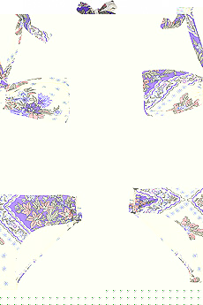 Zimmermann Sweet Violet bikini