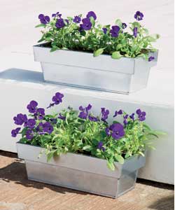 Zinc Natural Trough Planter Twin Pack