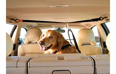 Line, Tether & Harness, Extra Large