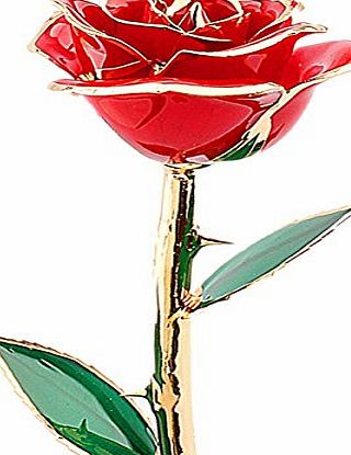ZJchao Rose,ZJchao 24 Carat Gold Dipped Real Red Rose Flower,Love gift for girlfriend Birthday Christmas Valentine Anniversary Day Gifts for Her