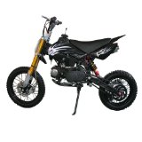 EVO 125cc Pit Bike Dirt Bike Mini Bike