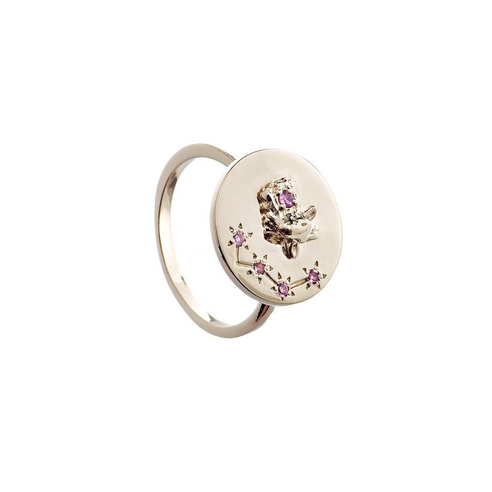 zodiac Ring - Capricorn