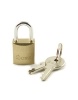 zone Brass Padlock