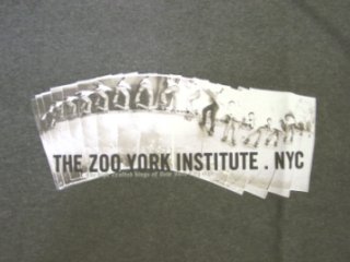 Zoo York Super Snake T-Shirt