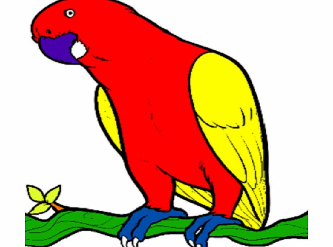 Zoom Creations Coloring The Animals