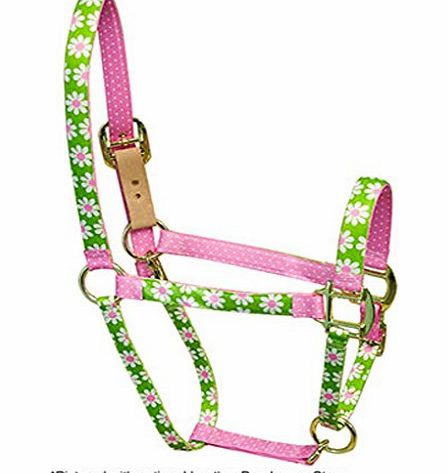 Red Haute Horse PJ Pet Products Daisy Design High Fashion Premier Quality Horse Head Collar, Small, Green